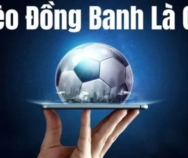 Kèo Chấp Đồng Banh Là Gì? Cách Đọc Và Phân Tích Kèo