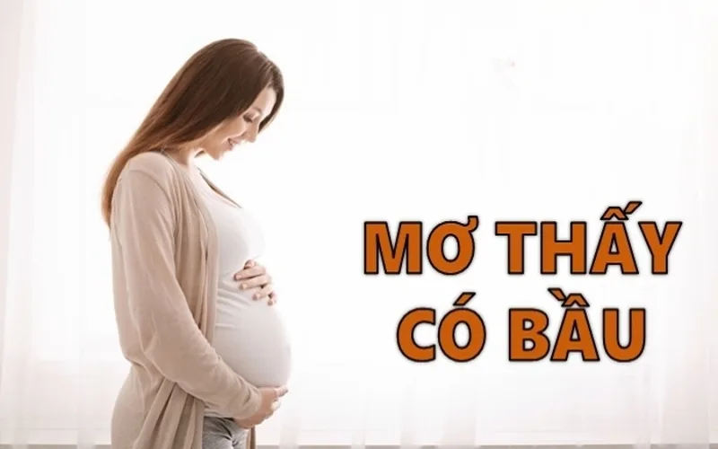 nam mo thay nguoi khac co bau la diem gi giai ma chi tiet
