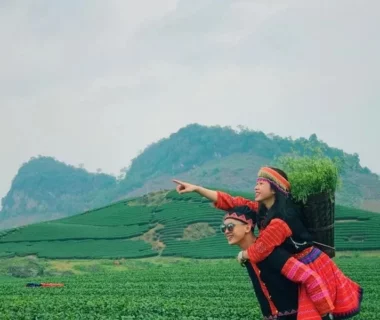 Mộc châu mùa này có gì – khám phá viên ngọc xanh của cổng trời Tây Bắc