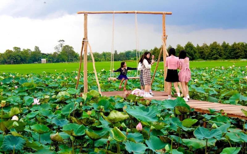 dong thap co gi choi kham pha nhung diem den noi tieng nhat