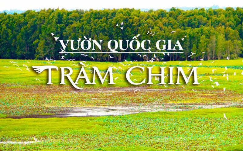 dong thap co gi choi kham pha nhung diem den noi tieng nhat