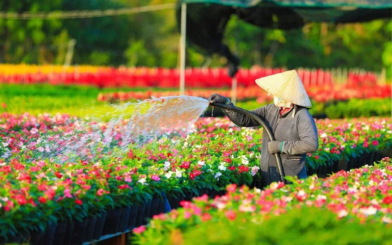 dong thap co gi choi kham pha nhung diem den noi tieng nhat
